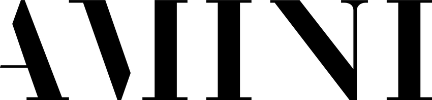 Amini