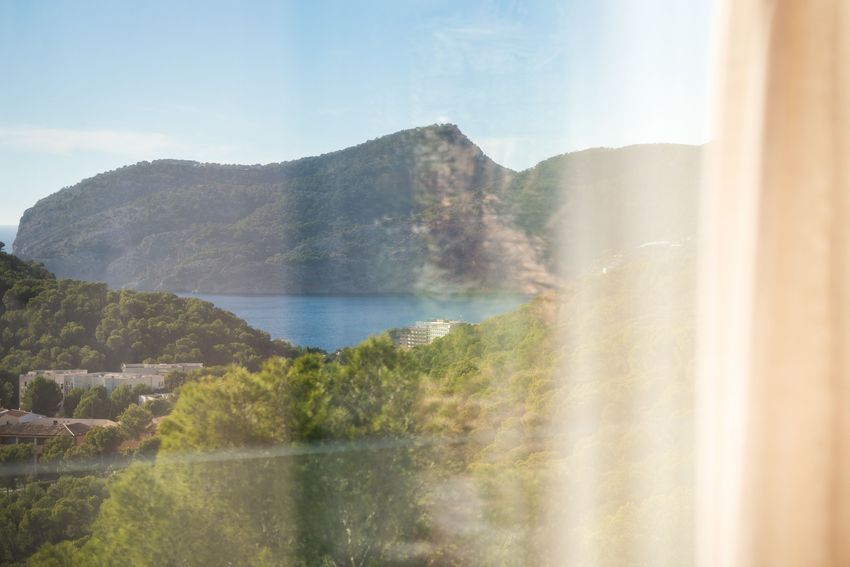 Baladre House - S29 Project - Espacio Home Design