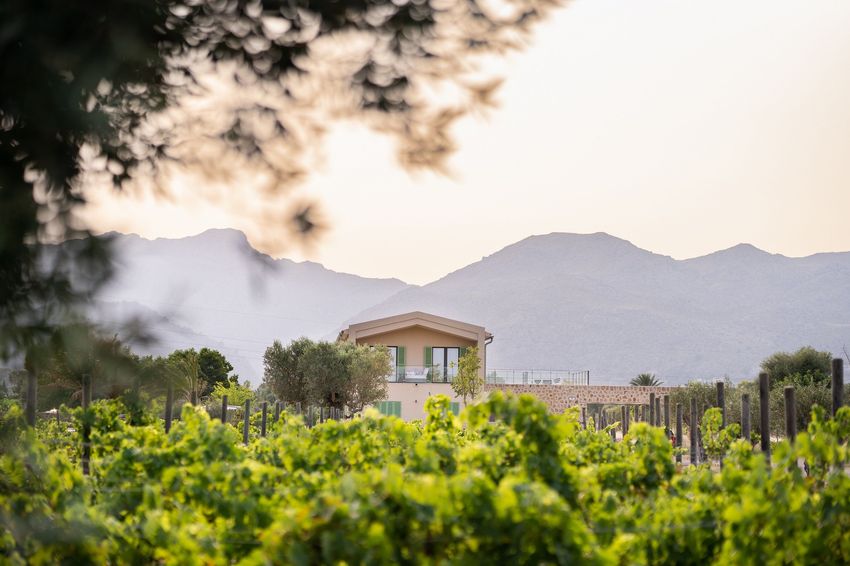 Projekt in Pollensa - Espacio Home Design