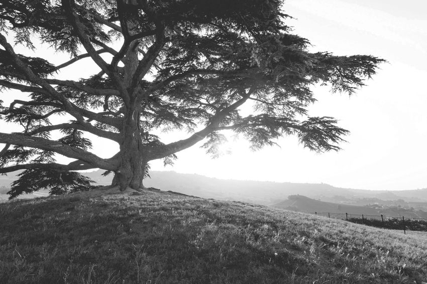 About us - Espacio Home Design